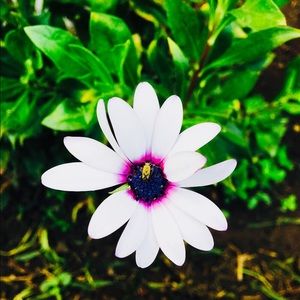 Meet your Posher, Katelyn